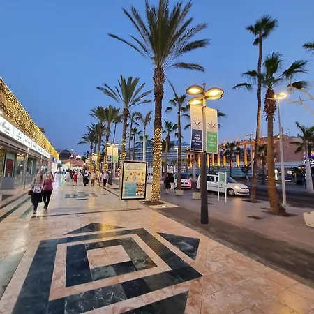 Casa Palmera 5 *